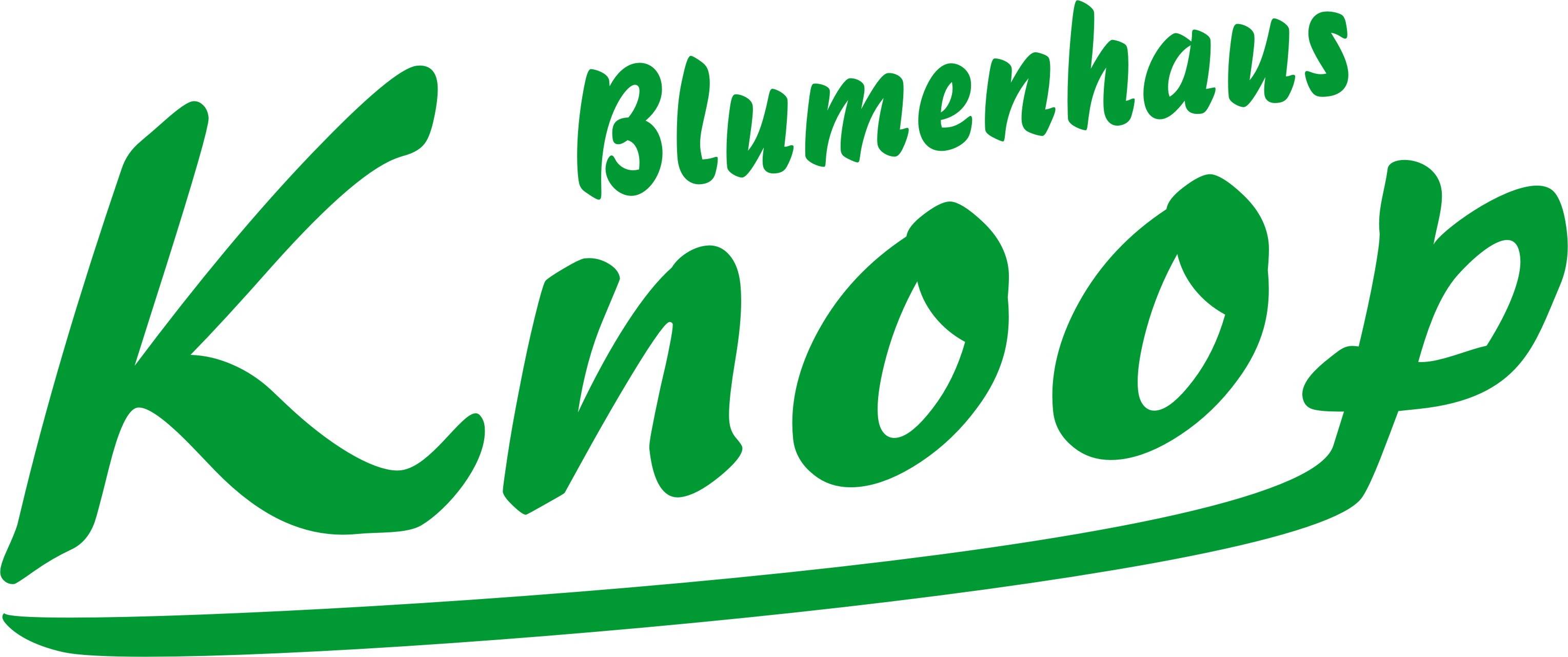 Blumenhaus Knoop